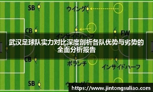武汉足球队实力对比深度剖析各队优势与劣势的全面分析报告